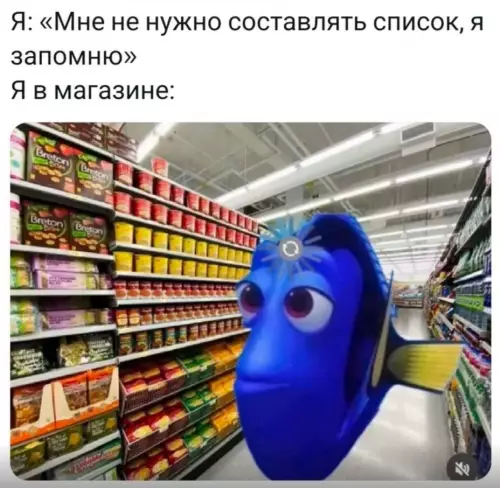Когда решил, что ты гений памяти 🐟 - Я: Мне не нужно составлять список, я запомню Я в