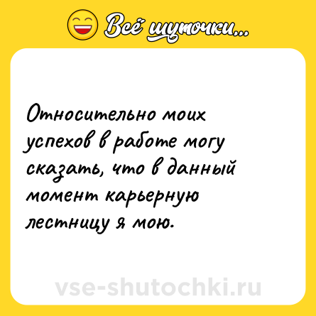 Шутка: Относительно моих успехов в работе могу сказать, что в данный момент карьерную лестницу я мою.