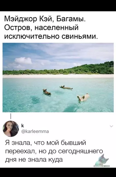 Смешная картинка №357711