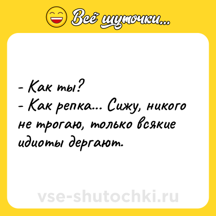 Шутка: - Как ты?<br>- Как репка... Сижу, никого не трогаю, только всякие идиоты дергают.