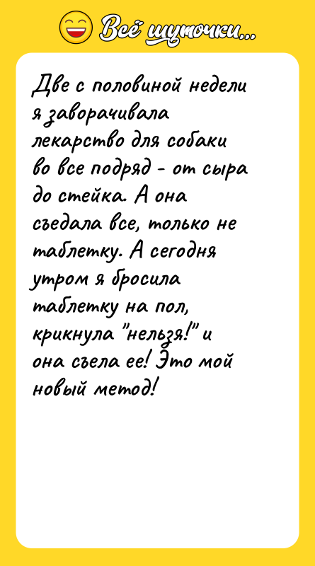 Две с половиной недели я заворачивала лекарство для собаки во