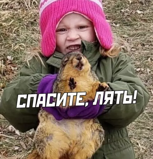 продолжение Смешная картинка №577143
