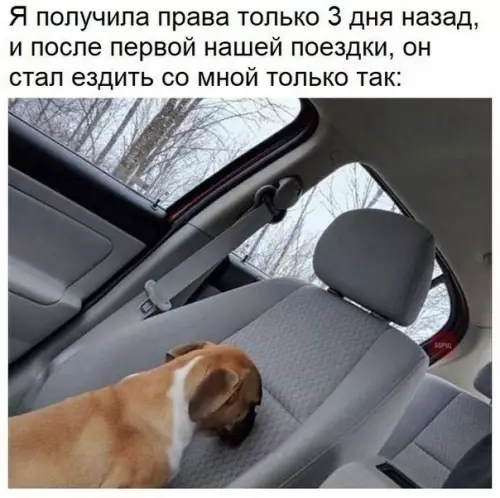 Смешная картинка №263247