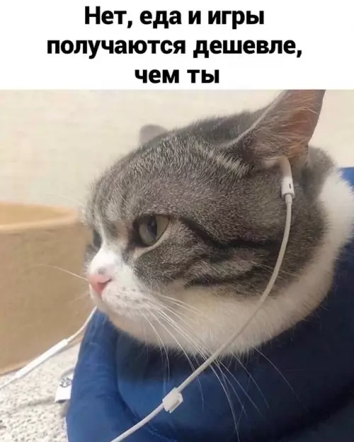 продолжение Смешная картинка №610328 Hy a чтo...