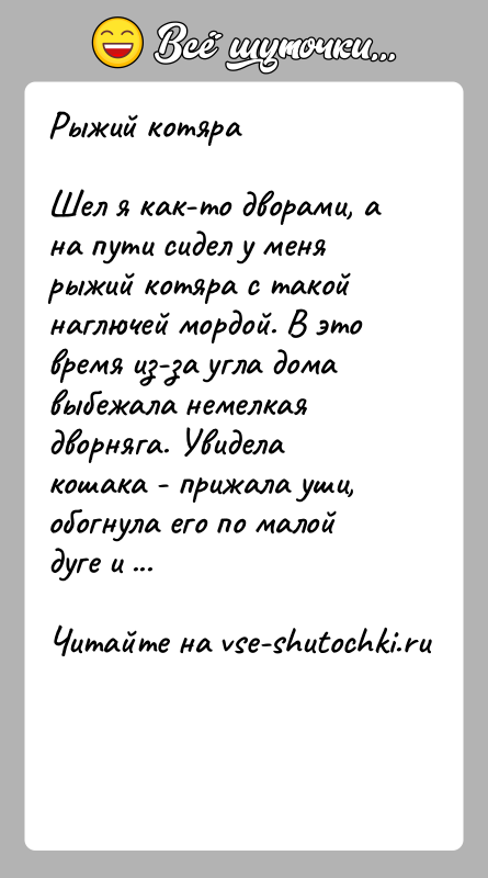 История: Рыжий котяраШел я как-то дворами, а на пути сидел у меня рыжий котяра с такой наглючей мордой. В это время