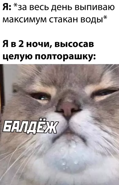Смешная картинка №625047
