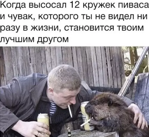 Смешная картинка №488806