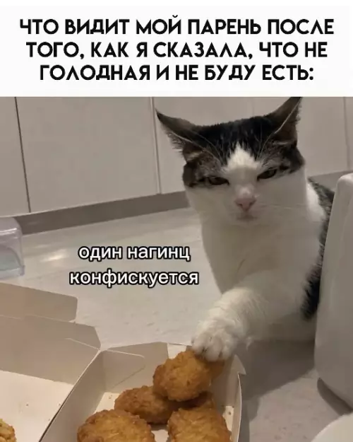 Тот самый наглый котэ! 😼🍗 - ЧТО ВИДИТ МОЙ ПАРЕНЬ ПОСЛЕ ТОГО, КАК Я СКАЗАЛА, ЧТО