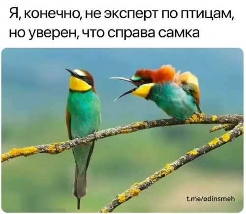 Смешная картинка №673421