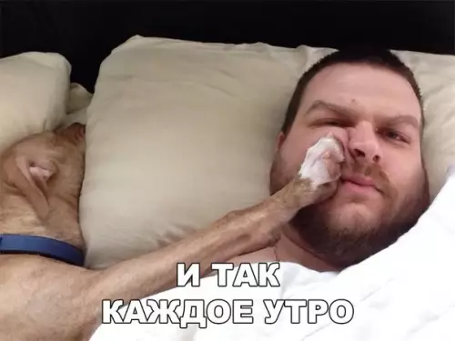 Смешная картинка №256932