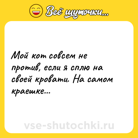 Шутка: Мой кот совсем не против, если я сплю на своей кровати. На самом краешке...