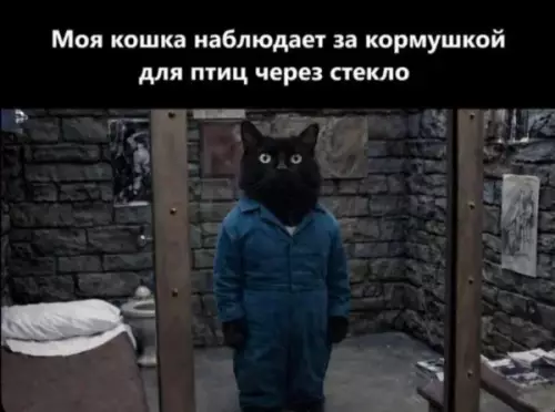 Смешная картинка №822044