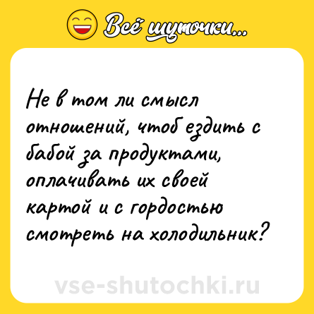 Шутка: Не в том ли смысл отношений, чтоб ездить с бабой за продуктами, оплачивать их своей картой и с гордостью смотреть на холодильник?