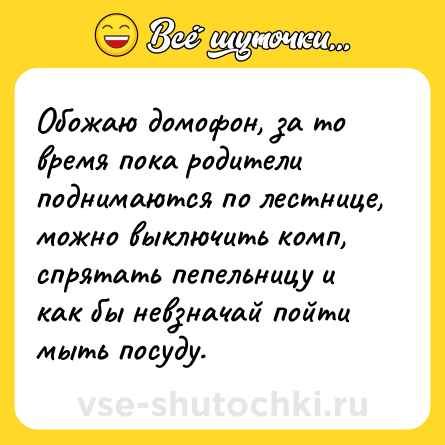 Шутка: Обожаю домофон, за то время пока родители поднимаются по лестнице, можно выключить комп, спрятать пепельницу и как бы невзначай пойти мыть посуду.