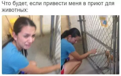 Смешная картинка №214036