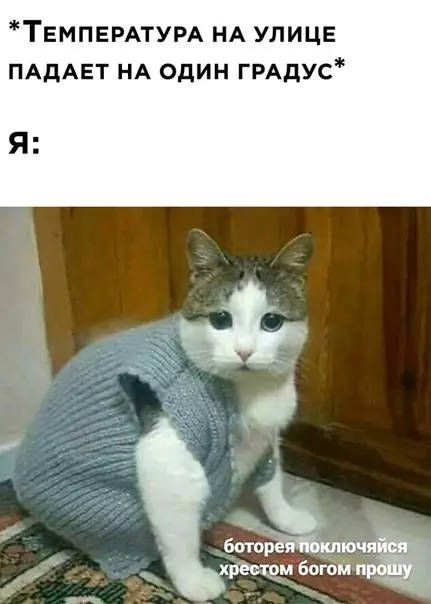 Смешная картинка №524306