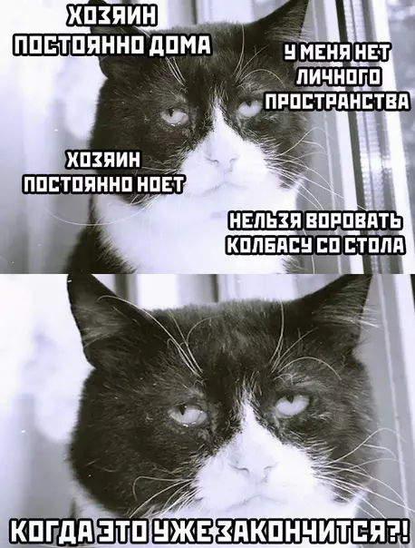 Смешная картинка №482647