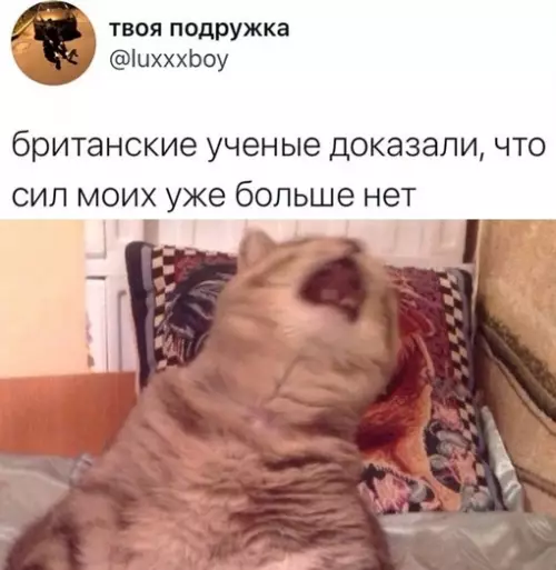 Смешная картинка №653203