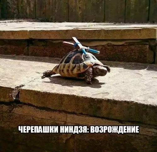 Смешная картинка №173640