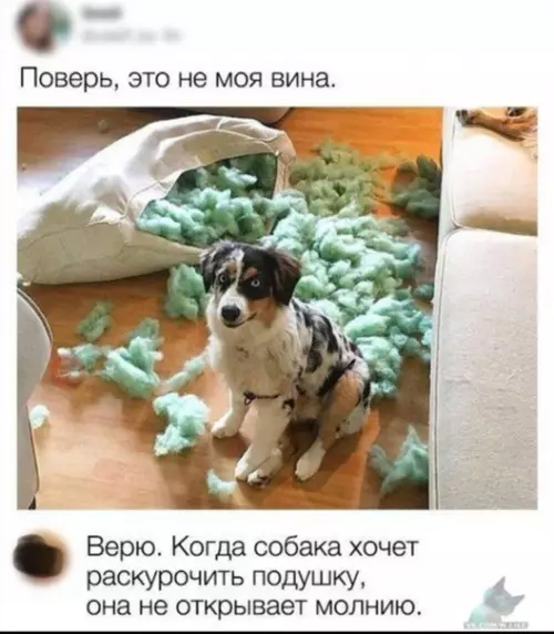 Смешная картинка №322250