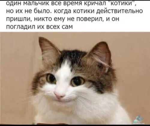 Смешная картинка №442659