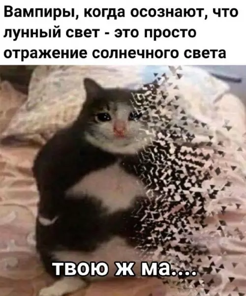 Вампиры в шоке от физики! 🧛‍♂️😱 - Вампиры, когда осознают, что лунный свет - это просто отражение