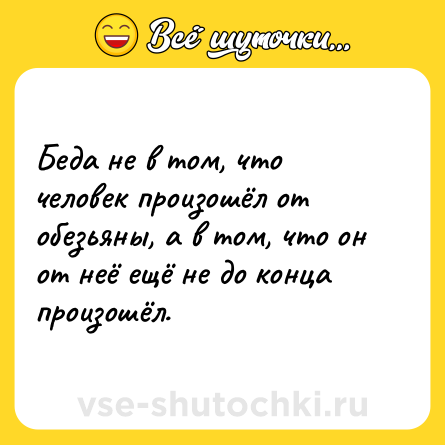 Шутка: Беда не в том, что человек произошёл от обезьяны, а в том, что он от неё ещё не до конца произошёл.