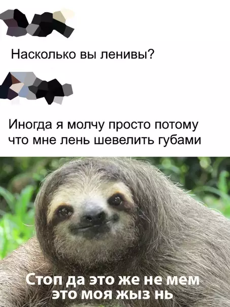 Смешная картинка №426229