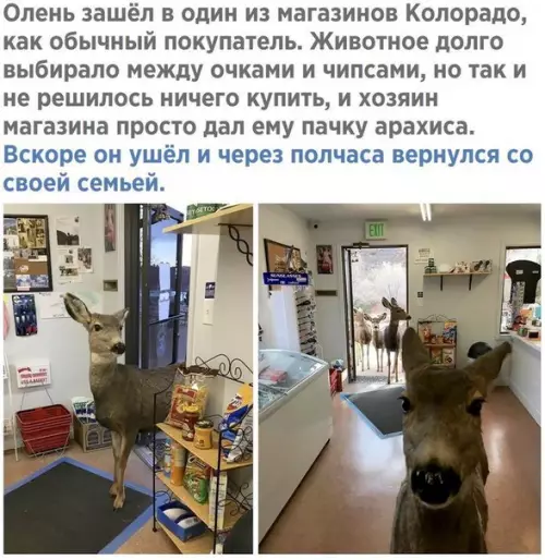 Смешная картинка №234097