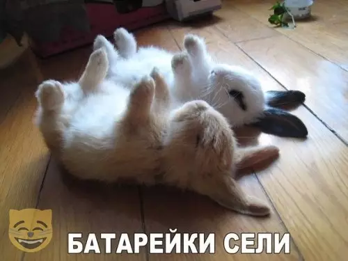 Смешная картинка №384297 #приколы #картинки #мемы ?