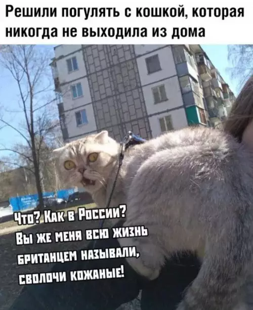 Смешная картинка №594127