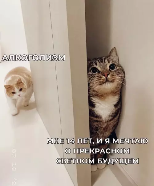 Твои планы на жизнь vs Реальность 😹 - АЛКОГОЛИЗМ МНЕ 14 ЛЕТ, И Я МЕЧТАЮ О ПРЕКРАСНОМ СВЕТЛОМ