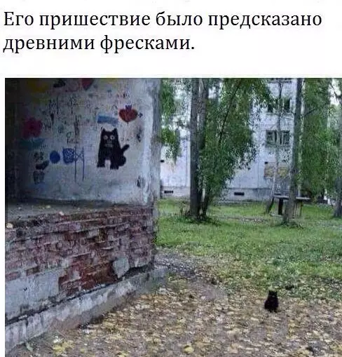 Смешная картинка №196453