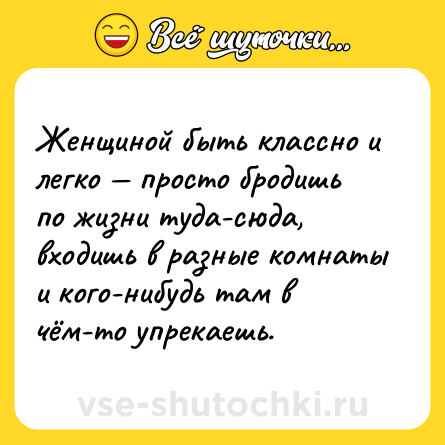 Шутка: Женщиной быть классно и легко — просто бродишь по жизни туда-сюда, входишь в разные комнаты и кого-нибудь там в чём-то упрекаешь.