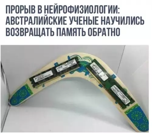 Смешная картинка №315152 Достойно уважения!