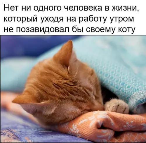 Смешная картинка №337041