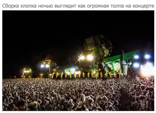 Смешная картинка №219487