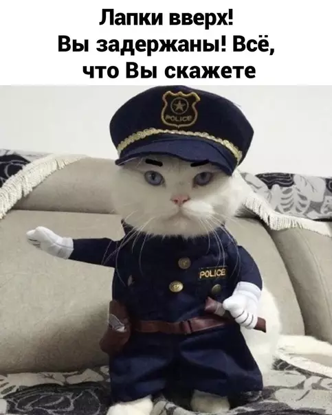 Смешная картинка №588453 Котики как всегда самые милые и самые хитрые :3 кошки