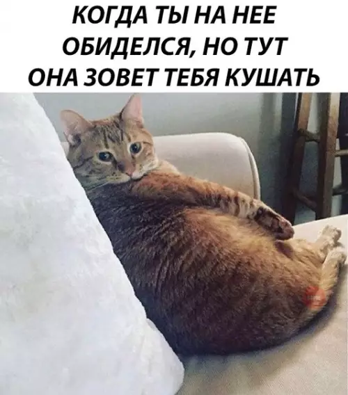 Смешная картинка №274516