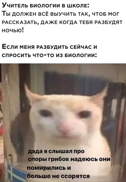Смешная картинка №534091