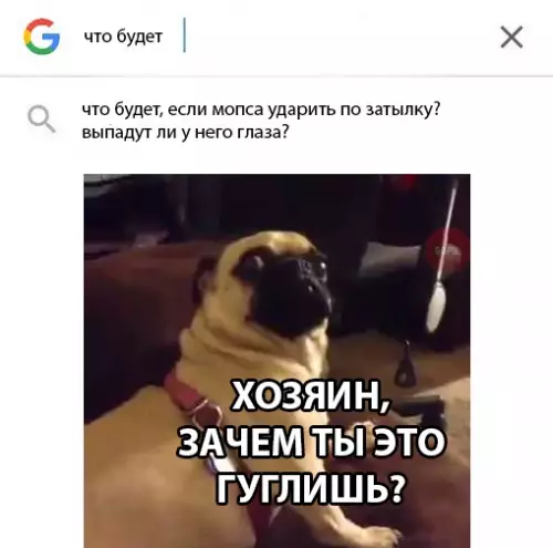 Смешная картинка №281231