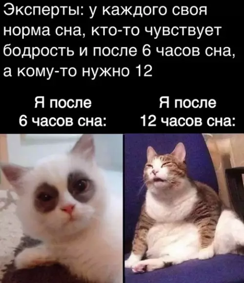 Смешная картинка №536357 Такие вот дела.