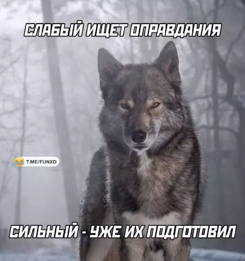 Смешная картинка №766109