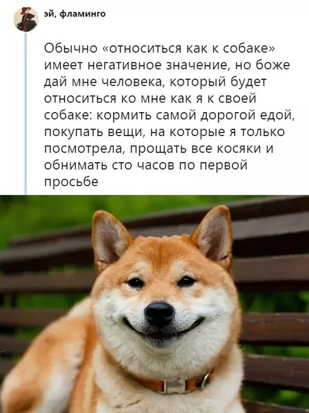 Смешная картинка №329925