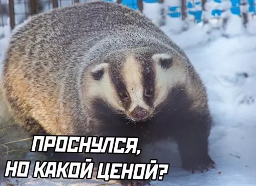 продолжение Смешная картинка №630052