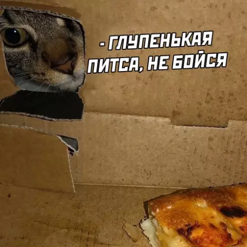 продолжение Смешная картинка №629598