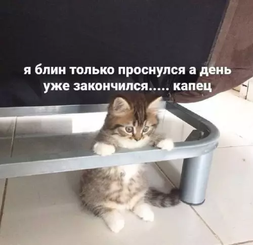 Смешная картинка №710628