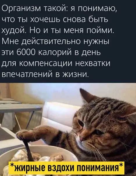 Смешная картинка №550957