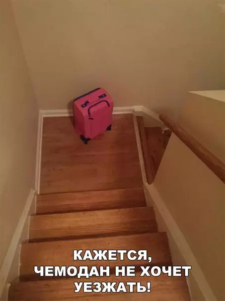 Смешная картинка №207721