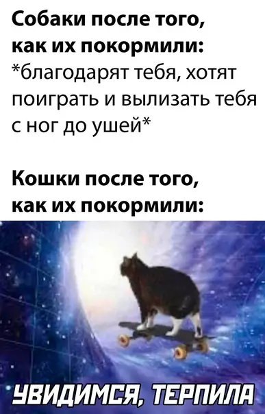 Смешная картинка №626748
